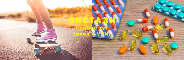 индика Няндома