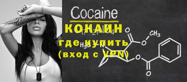 индика Няндома