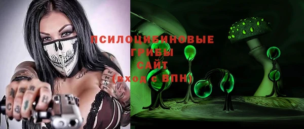 ПСИЛОЦИБИНОВЫЕ ГРИБЫ Осинники