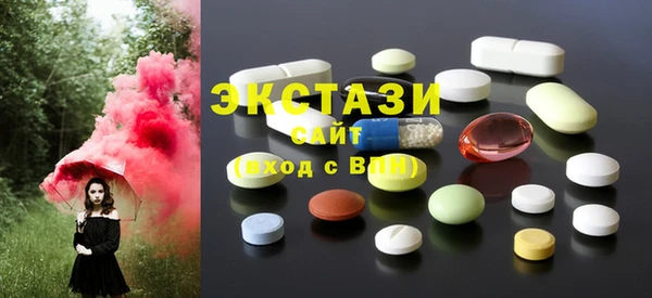 индика Няндома