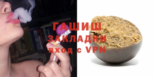 индика Няндома