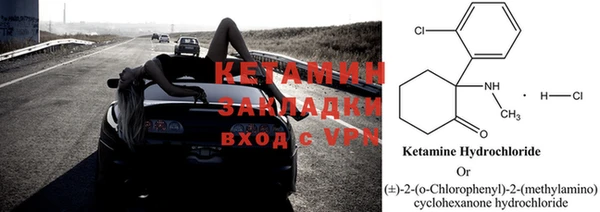 индика Няндома
