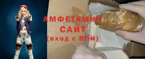 ПСИЛОЦИБИНОВЫЕ ГРИБЫ Осинники