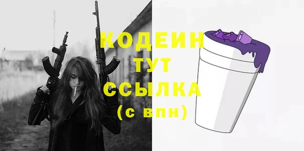 индика Няндома