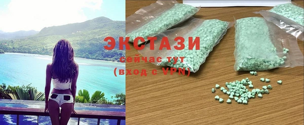 индика Няндома