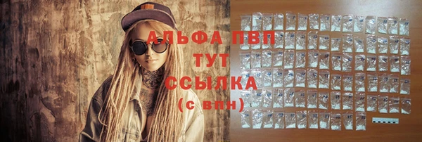 ПСИЛОЦИБИНОВЫЕ ГРИБЫ Осинники