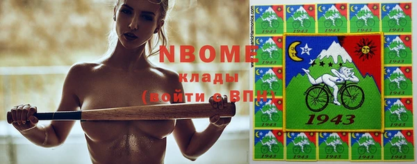 индика Няндома