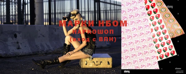 индика Няндома
