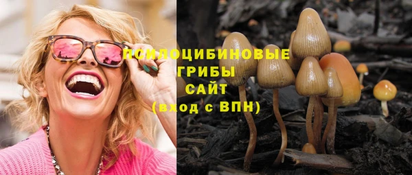 дживик Нязепетровск