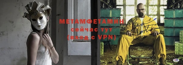 индика Няндома