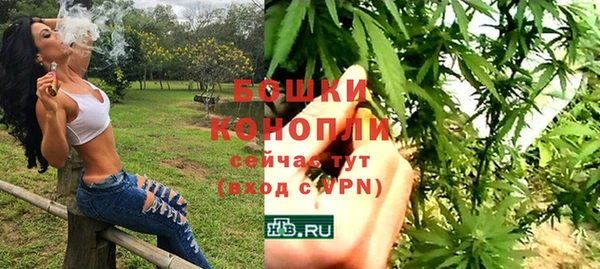 ПСИЛОЦИБИНОВЫЕ ГРИБЫ Осинники