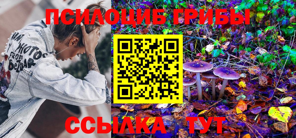 Киржач  Галлюциногенные грибы MAGIC MUSHROOMS  Псилоцибиновые грибы ЛСД  Вход с VPN 