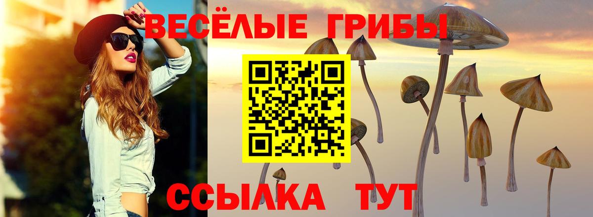 Галлюциногенные грибы мицелий Киржач